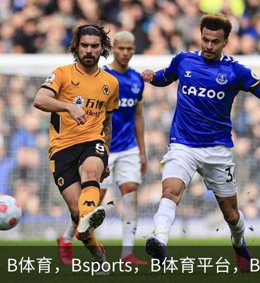 了解B体育，Bsports，B体育平台，B体育下载